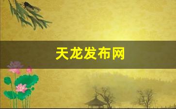 私服网站大全：天龙发布网(123天龙八部发布网) (2)