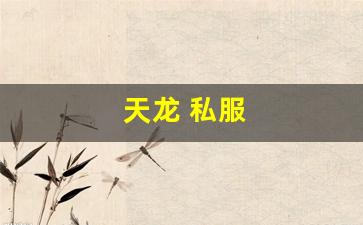 天龙怀旧：天龙 私服(天龙手游私sf下载) (9)