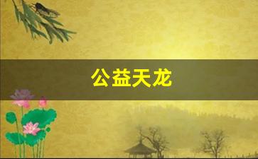 公益天龙(18岁了防沉迷还在) (2)