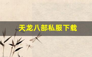天龙八部私:天龙八部私服下载(天龙手游私sf下载) (16)